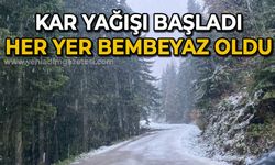 Kar yağışı başladı: Yüksek kesimler beyaza büründü