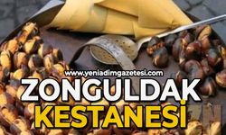 Çiği ayrı, kebabı ayrı lezzette Zonguldak kestanesi