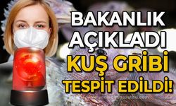 Sağlık Bakanlığı açıkladı: Kuş gribi tespit edildi!