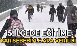 Kar yağışı sebebiyle 15 ilçede eğitime ara verildi