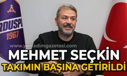 Takımın başına Mehmet Seçkin getirildi