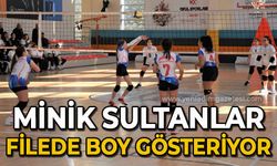 Minik sultanlar filede boy gösteriyor