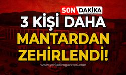 Zonguldak’ta 3 kişi mantardan zehirlendi: Fenalaştılar!