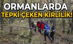 Ormanlarda tepki çeken çevre kirliliği