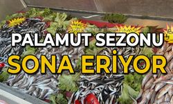 Palamut sezonu sona eriyor