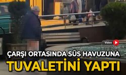 Sokak ortasındaki süs havuzuna tuvaletini yaptı