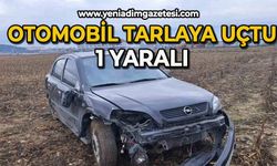 Otomobil tarlaya uçtu: 1 yaralı