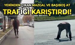 Yerinden çıkan mazgal ve başıboş at trafiği tehlikeye attı