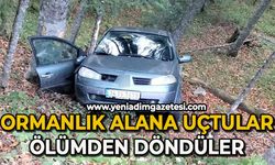 Otomobil ormanlık alana uçtu