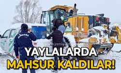 Yaylalarda mahsur kalan 7 kişi kurtarıldı