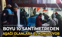 Boyu 10 santimden aşağı olanlara el konuluyor