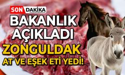 Bakanlık açıkladı: Zonguldak at ve eşek eti yedi