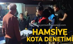 Hamsiye kota denetimi