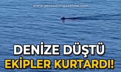 Denize düştü, ekipler tarafından kurtarıldı