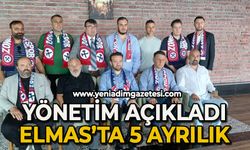 Yönetim açıkladı: Elmas'ta 5 ayrılık