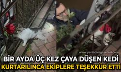 Bir ayda üç kez çaya düşen kedi, kurtarıldıktan sonra patisiyle teşekkür etti