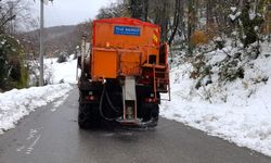 Buzlanmaya karşı tedbir alıyorlar