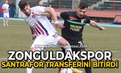 Zonguldakspor santrafor transferini bitirdi