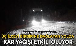 Üç ilçeyi birbirine bağlayan yolda kar yağışı etkili oluyor