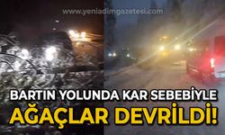 Kar nedeniyle ağaçlar devrildi, karayolunda ulaşım aksadı