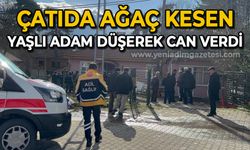 Çatıda ağaç kesen yaşlı adam düşerek hayatını kaybetti