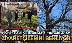 300 yıllık çivisiz cami ve koruma altındaki ağaç, ziyaretçilerini bekliyor