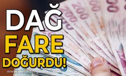 Devrim Dural: Dağ fare doğurdu!