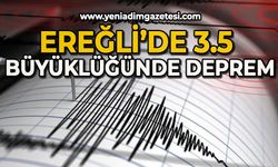 Ereğli'de 3.5 büyüklüğünde deprem