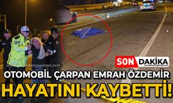 Yolun karşısına geçerken otomobilin çarptığı Emrah Özdemir hayatını kaybetti, annesi sinir krizi geçirdi