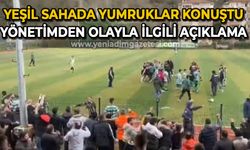 Yeşil sahada yumruklar havada uçuştu: Yönetimden olayla ilgili açıklama!