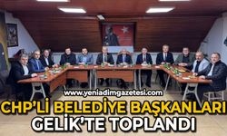 CHP’li Belediye Başkanları Gelik’te toplandı