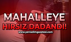 Mahalleye hırsızlar dadandı!