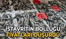 İstavritin bolluğu fiyatları düşürdü