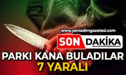 Parkı kana buladılar: 7 yaralı