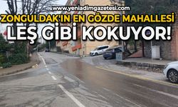 Zonguldak'ın en gözde Mahallesi leş gibi kokuyor