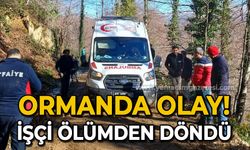 Ormanda olay: İşçi ölümden döndü!