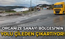 Organize Sanayi Bölgesi'nin yolu çileden çıkartıyor!