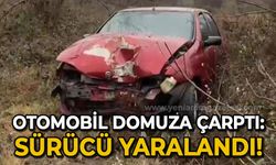 Otomobil domuza çarptı: Sürücü yaralandı