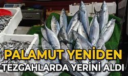 Palamut yeniden tezgahlarda yerini aldı