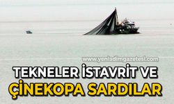 Tekneler istavrit ve çinekopa sardı