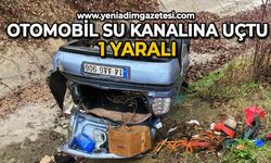 Otomobil su kanalına uçtu: 1 yaralı