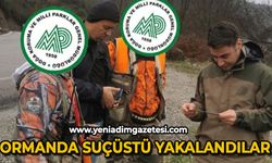 Ormanda suçüstü yakalandılar