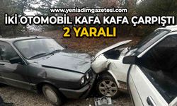 İki otomobil kafa kafaya çarpıştı: 2 yaralı