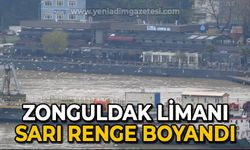 Zonguldak Limanı sarı renge boyandı