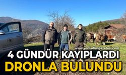 4 gündür kayıp olan büyükbaş hayvanlar dronla bulundu