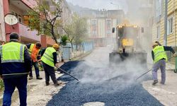 Bir yılda 711 cadde ve sokağa bakım yapıldı