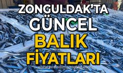 Zonguldak'ta güncel balık fiyatları