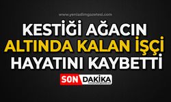 Kestiği ağacın altında kalan işçi hayatını kaybetti