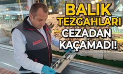 Kastamonu’da su ürünleri denetimlerinde 14 kişiye toplam 244 bin lira ceza uygulandı