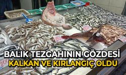 Balık tezgahının gözdesi kalkan ve kırlangıç oldu